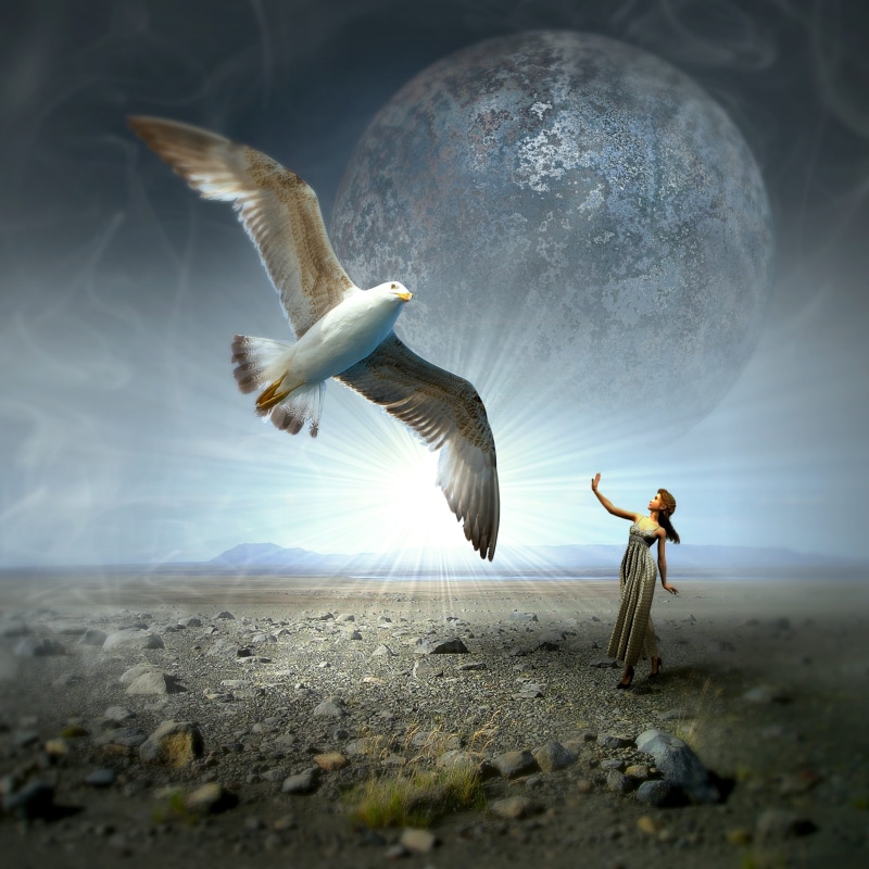 girl, fantastic, people, surreal, animals in the wild, animal wildlife, nature, dream, land, fly, fantasy picture, real people, 2K, mysticism, light, moon