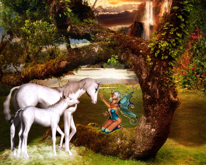 fantasy, fantasy picture, dreams, unicorns, magical, woman, pixie, fairy tale, girl, image editing, female, fee, legend, myth, day, magic, one person, fairytale