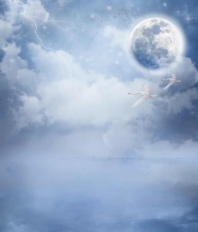 two, water, fantasy picture, pink, bird, 4K, beauty in nature, composing, air, guestbook, map, transportation, moon, romance, sky, day, flying, air vehicle