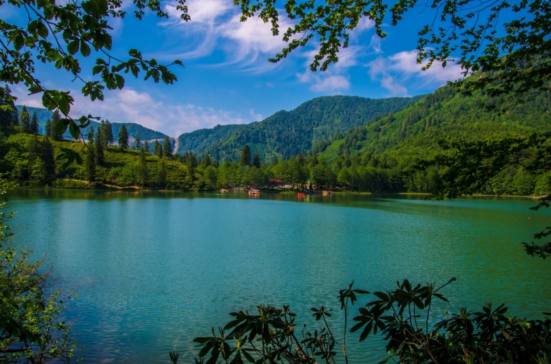 borçka, growth, tree, beside, idyllic, landscape, cloud - sky, reflection, green, body of water, beautiful, scenics - nature, trees, non-urban scene, outdoors