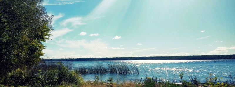 sunbeams, reeds, non-Urban Scene, horizontal, daytime, landscapes, scenery, view, sun, green, white, sunny, day, bodies Of Water, nature, colorful, scenics