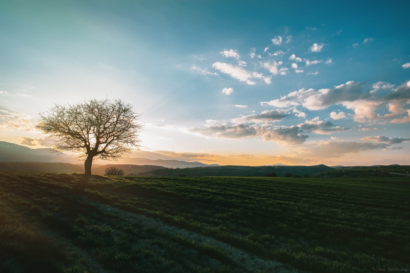 greece, daytime, sunset, blue sky, kozani, sky, Sunset tree, blue, nature, forest, 1080P, field, sunset  tree, sunbeam, cloud, hill, summer, clouds, tree