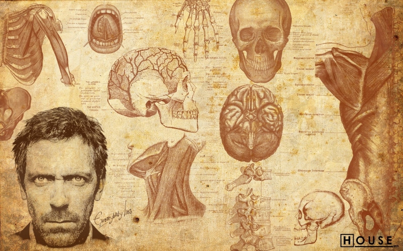house, house md, Hugh Laurie, 2K