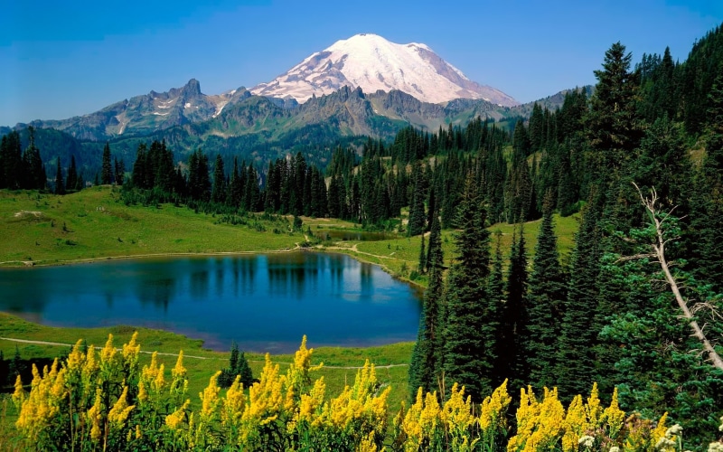 trees, landscape, lake, nature, mountains, 2K, mount rainier national park, mount rainier national park