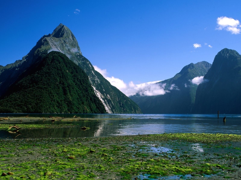 tranquil scene, environment, no people, blue, Milford Sound, tranquility, outdoors, green color, day, near, digital, mountains, idyllic, national park