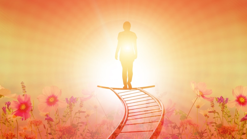 one person, towards, ascent, success, hope, flower, way of life, standing, adult, light, die, seedlings, god, person, healthy lifestyle, sky, head, walking