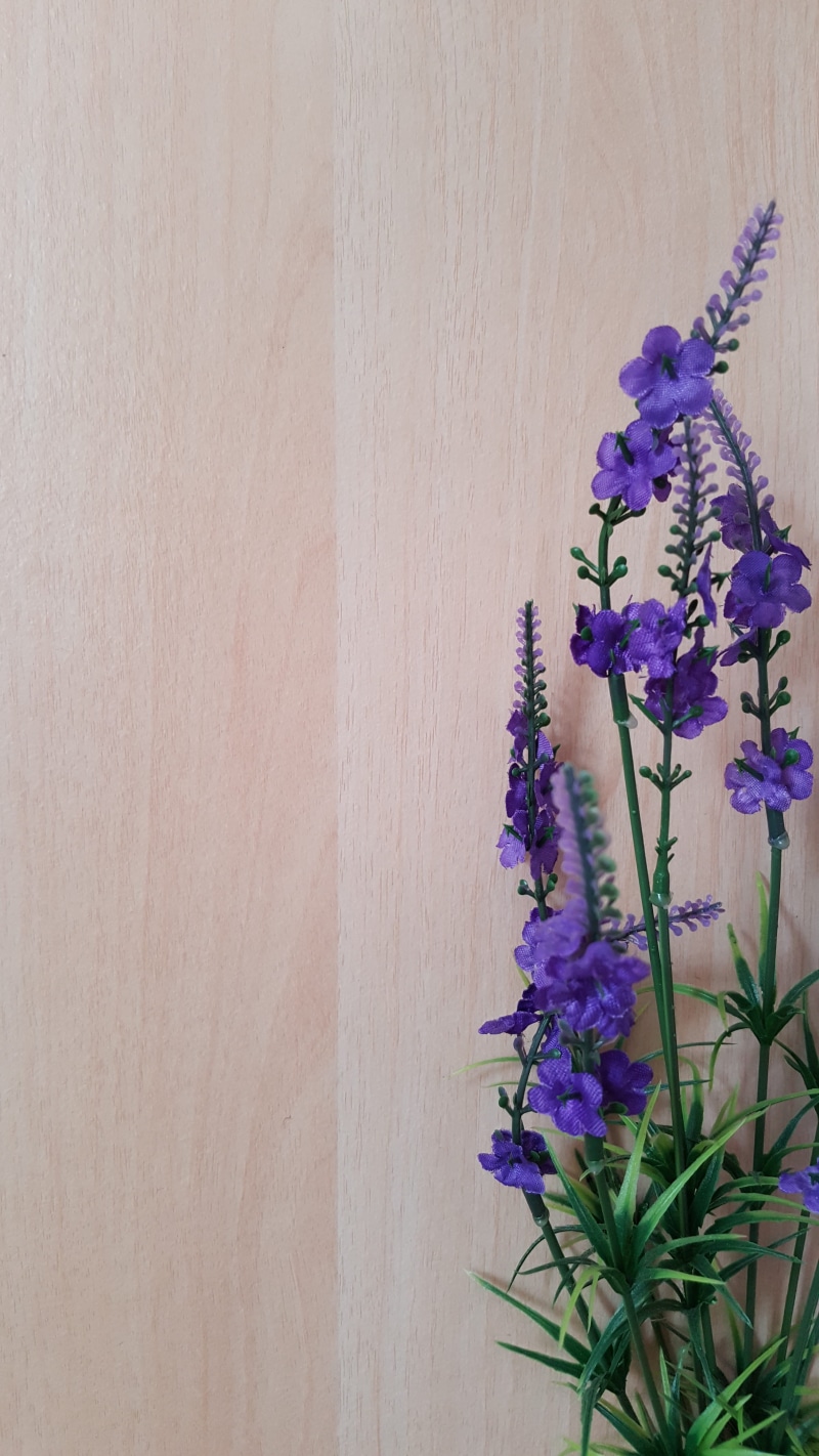 sheet, freshness, information, vulnerability, plant, no people, bunch of flowers, inflorescence, wall - building feature, decoration, indoors, flower, list