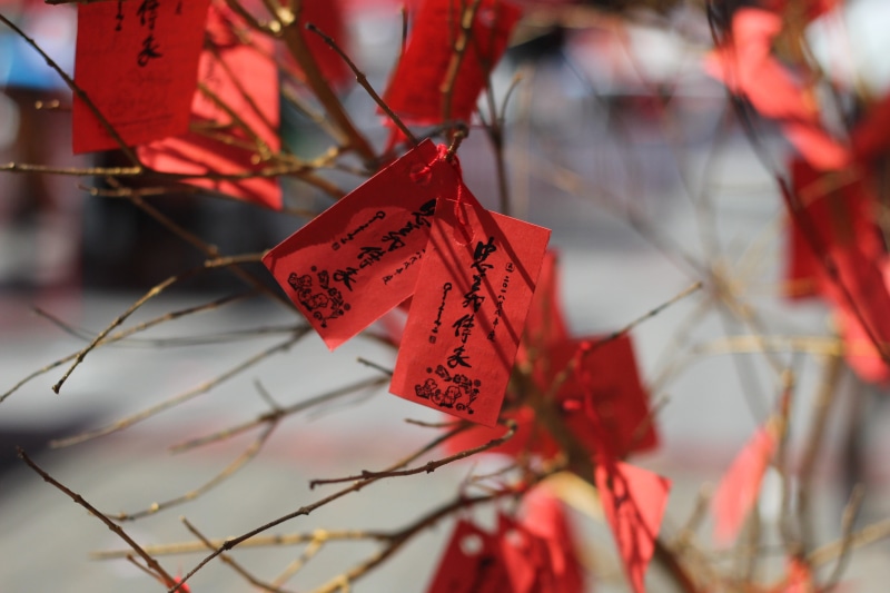chinese writing, outdoors, 5K, event, nature, close-up, focus on foreground, hanging, branch, positive emotion, cny, message, label, no people, aspirations