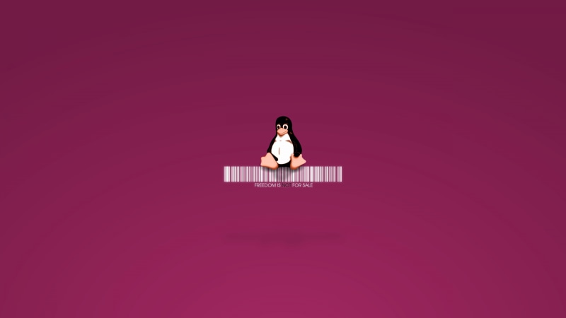 aspirations, women, linux, computer, young adult, uncertainty, copy space, penguin, standing, one person, hairstyle, pink color, colored background, fashion