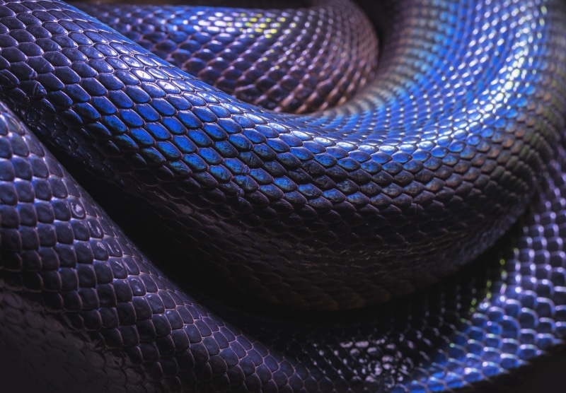 python, Python (programming), 2K