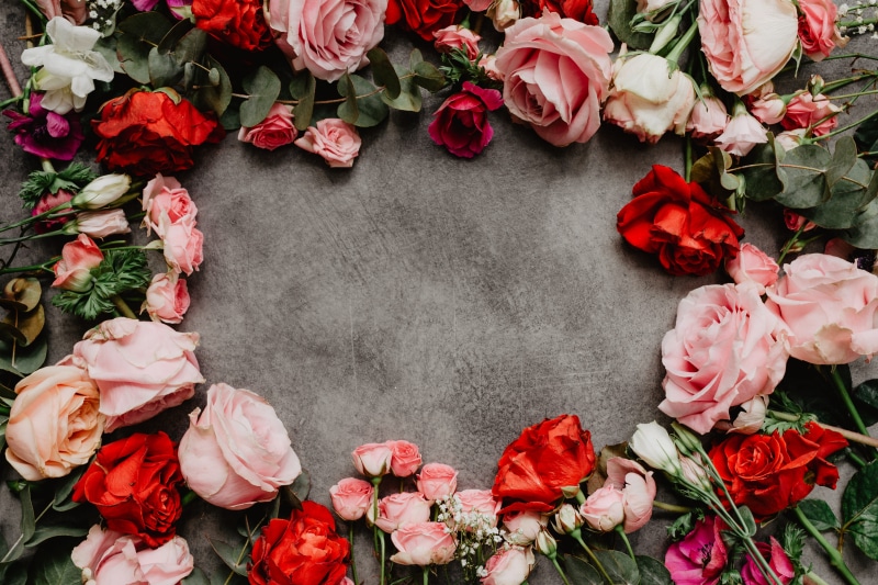 beauty in nature, petal, flat lay, copyspace, 5K, high angle view, vulnerability, flatlay, copy, valentines, close-up, rose - flower, flowers, background