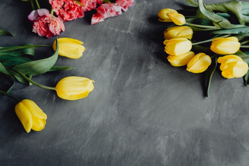 yellow, close-up, grey, copy, bouquet, copy paste, vulnerability, space, bloom, beauty in nature, freshness, 5K, background, food and drink, colors, still life