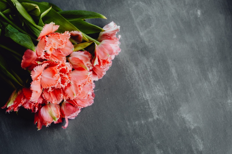 high angle view, floral, food, petal, close-up, no people, flower head, red, bouquet, seafood, copy, bloom, flower, flowers, fragility, plant, vulnerability