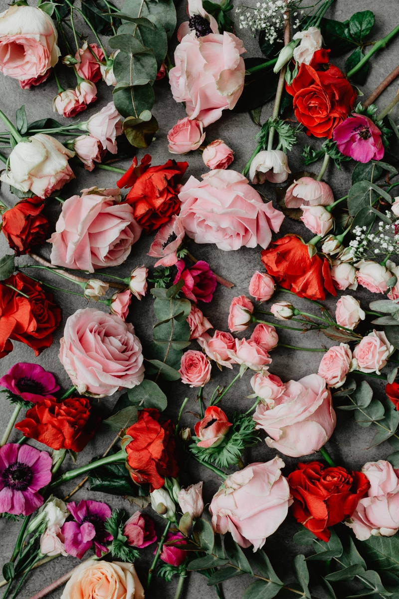 flat, close-up, bunch of flowers, high angle view, lay, fragility, bouquet, lovely, vulnerability, freshness, rose, flower head, rose - flower, flatlay