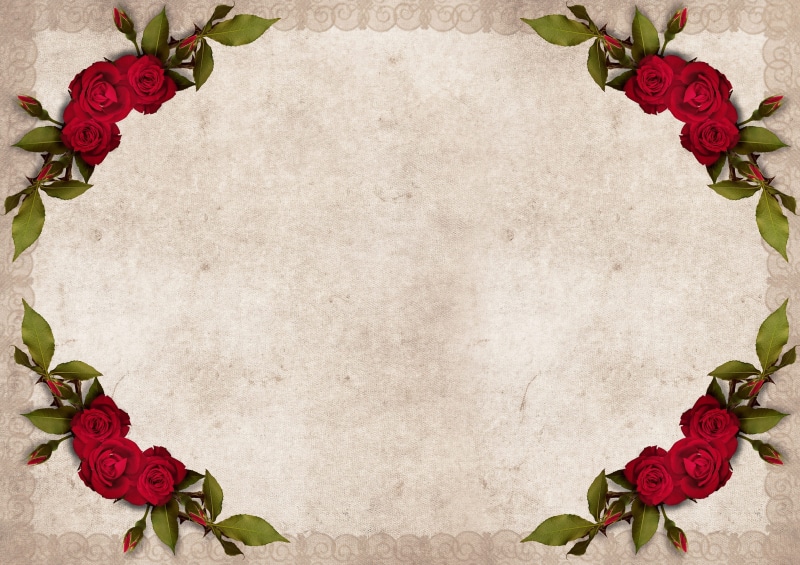 red, decorative, plant, flowers, flower, birthday, 2K, leaf, blank, greeting, beauty in nature, nature, scrapbooking, welcome, background, red roses, copy space