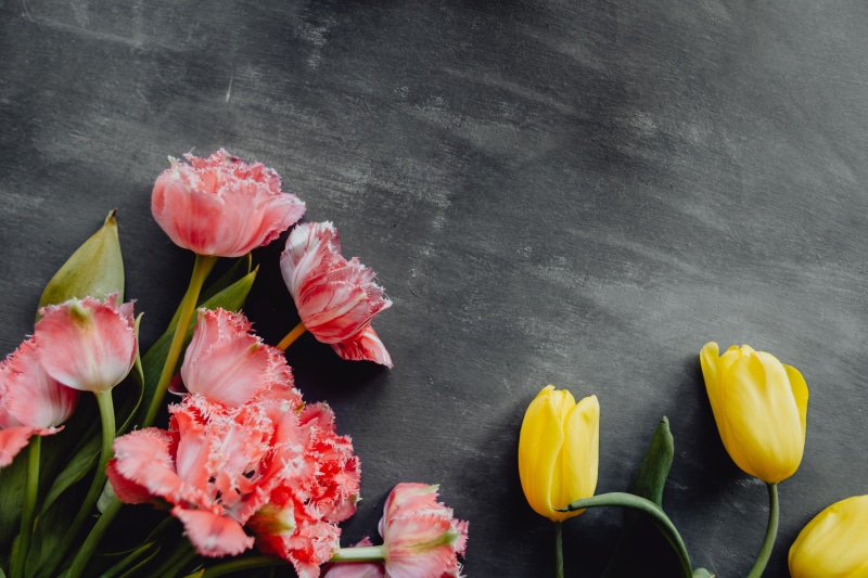 no people, bouquet, space, grey, pink color, flower, floral, copy paste, close-up, flower head, blossom, table, colorful, leaf, background, bouqet, flowers