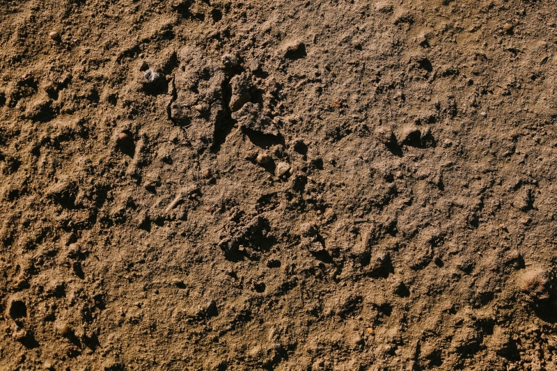earth, mud, no people, background, full frame, land, paw print, closeup, pattern, outdoors, high angle view, various, sunlight, window, day, footprint