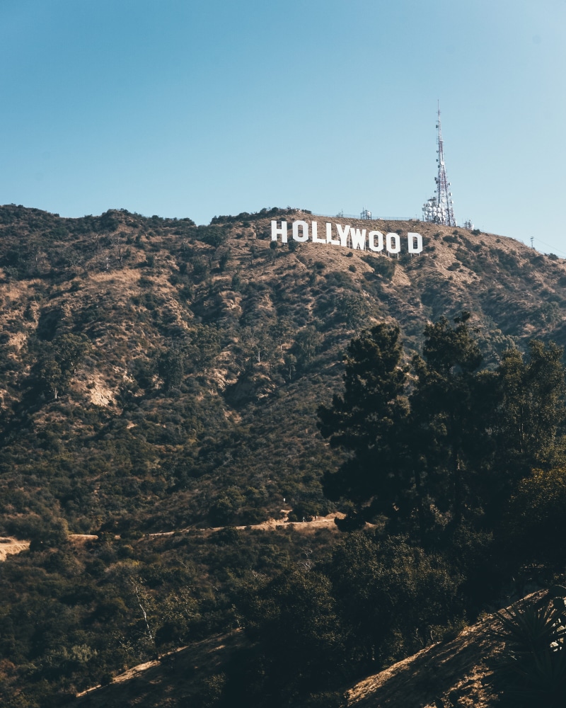 forest, rock, mountain, californium, cliff, creek, letters, plant, tower, text, blue, low angle view, los angele, day, tree, hollywood, sign, scenics - nature