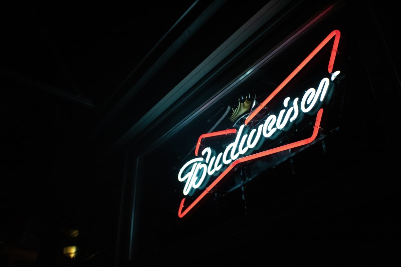 nightlife, apparel, black background, animal, information sign, bar, hawk, night, coat, bird, city, commercial sign, low angle view, store, budweiser, sign