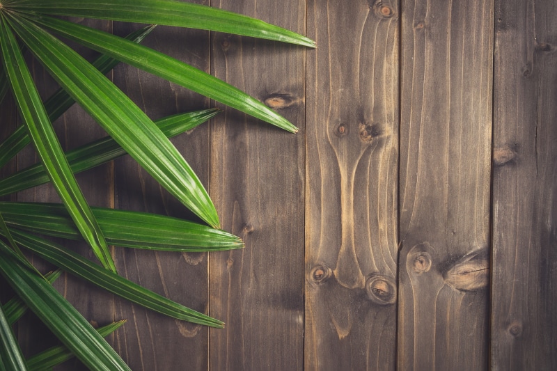 close-up, leaves, nature, green color, leafed, food and drink, chopped, wood, background, 5K, plant, no people, indoors, Board, tree, freshness, directly above