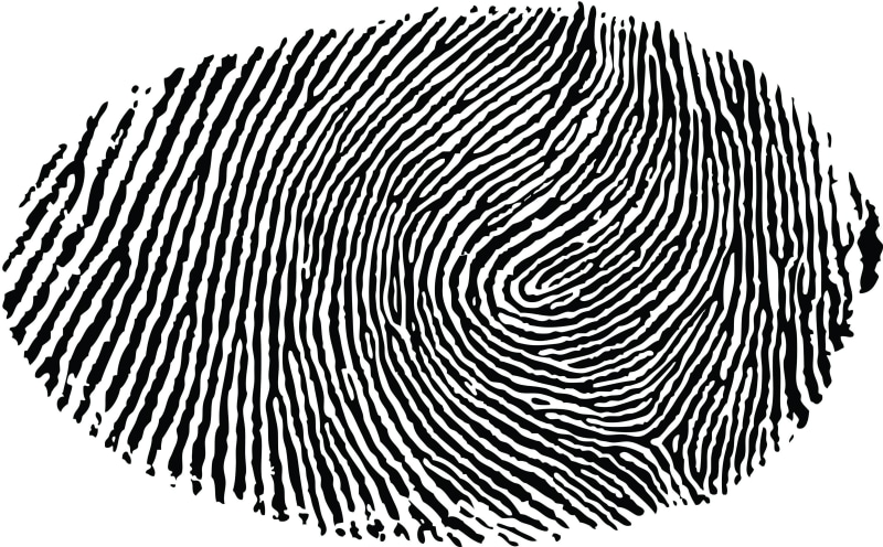 striped, studio shot, technology, 4K, no people, indoors, white, illustration, black, fingerprints, fingerprint, pattern, animal themes, monochrome, natural pattern