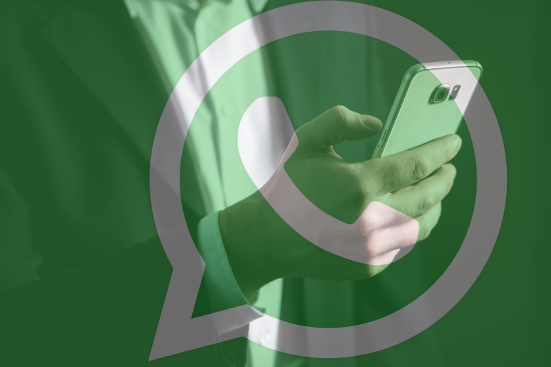 app, green color, logo, holding, texting, white color, chat, social, conversation, 4K, real people, messaging, hand, emotion, art and craft, environmental conservation