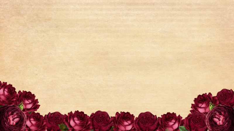 paper, template, red roses, timeline, red, no people, texture, dreamy, roses, friendship, floral, chic, flowering plant, greeting card, welcome, flower head
