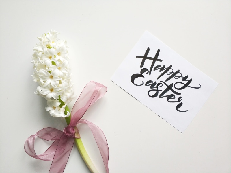 beauty in nature, bouquet, 4K, studio shot, white flower, close-up, flora, easter, flowers, lace, lilac, vulnerability, white, art, flower head, Happy Easter