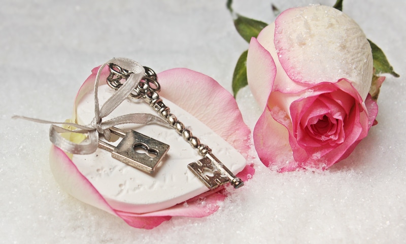 deco, focus on foreground, wealth, rose - flower, beside, greeting, pattern, beauty in nature, rose petals, studio shot, personal accessory, romantic, pink