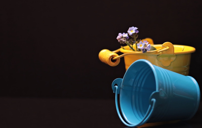 forget me not, still life, greeting card, bouquet, nature, thank you, figurine, plant, indoors, symbol, fragility, day, copy space, food and drink, flower