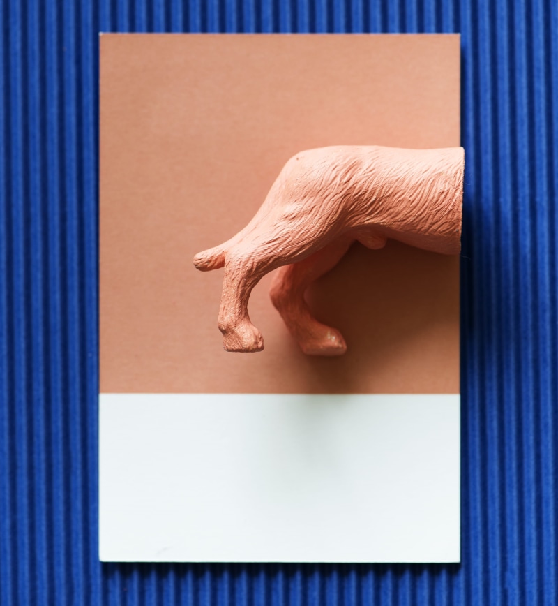lifestyles, people, real people, blue, backside, animal, men, decoration, human finger, display, picture frame, model, play, half, painting, girl, finger