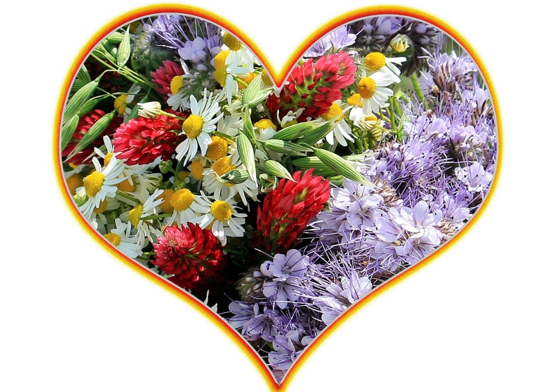bunch of flowers, nature, flowers, Flower, multi colored, creativity, heart Shape, beauty in nature, indoors, plant, birthday card, greeting card, mothers day