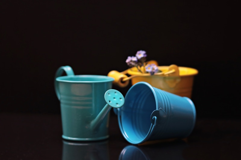 focus on foreground, yellow bucket, no people, thank you, watering can, coupon card, representation, wood - material, still life, spring, craft, close-up