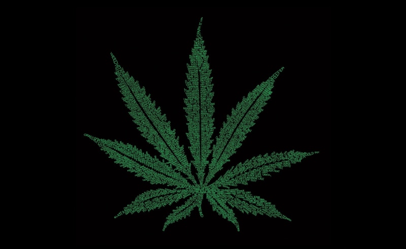 green color, nature, 2K, Typography, indoors, celebration, holiday, Marijuana, studio shot, black background, no people, healthcare and medicine, plant