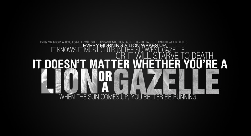 studio shot, black, information, capital letter, text, dark, Typography, Quote, night, message, Lion, western script, cut out, overlay, 720P, advertisement
