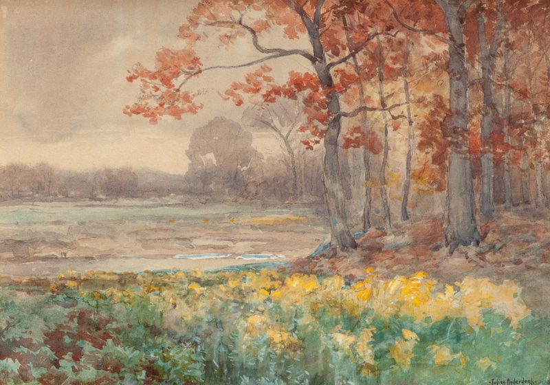 land, autumn, orange color, autumn collection, growth, day, forest, classic art, scenics - nature, fog, tree, idyllic, tranquil scene, outdoors, change