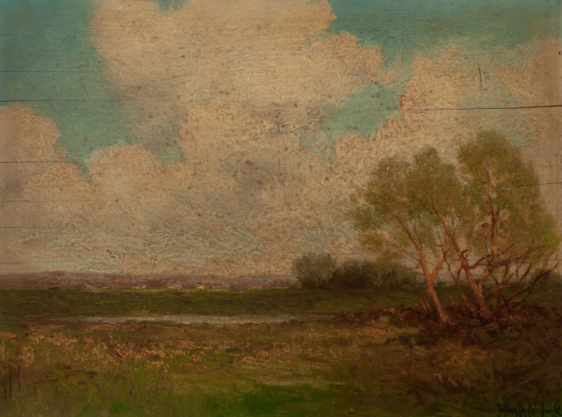 textured, land, field, tranquility, Julian Onderdonk, beauty in nature, green color, backgrounds, textured effect, 2K, day, scenics - nature, environment