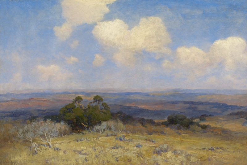 environment, cloud - sky, scenics - nature, climate, mountain, land, beauty in nature, arid climate, tranquility, plant, tranquil scene, growth, tree, classic art