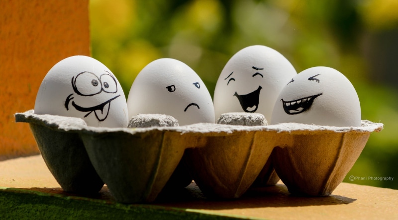 creativity, freshness, tray, Funny, gray, eggs, face, egg, 4K, no people, anthropomorphic face, close-up, focus on foreground, human representation, representation