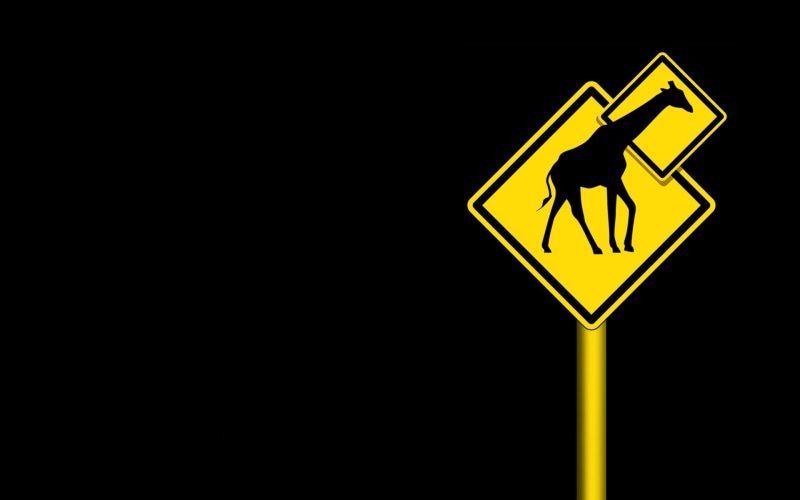1080P, background, hd, black background, giraffes, signs, art, entertainment, funny, black