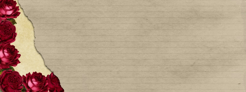 wedding, background image, leaf, shabby, frame, lines, indoors, background, rose, event, scrapbooking, white color, broadband, red roses, pattern, striped