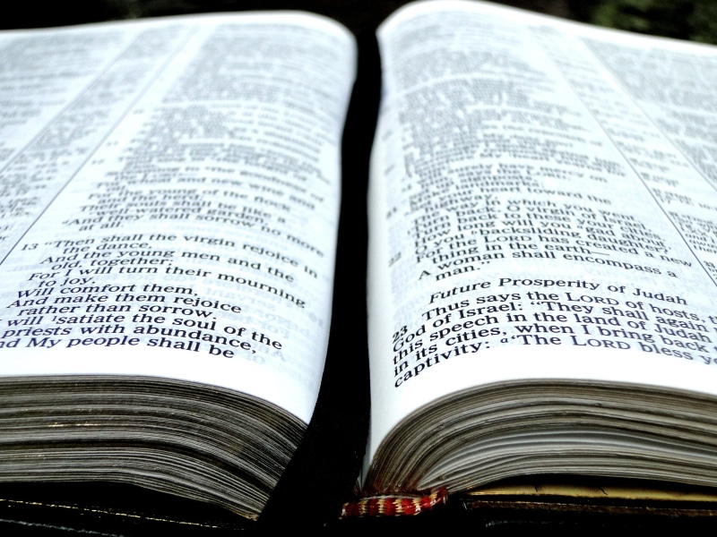 wisdom, book, belief, no people, catholicism, words, bookmark, textbook, praying, publication, paper, christianity, close-up, opened, indoors, 2K, studying