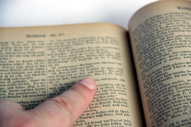 page, chapter, wisdom, reading, bible, belief, old, open, worship, pray, education, 4K, publication, communication, religion, text, religious, faith, brown