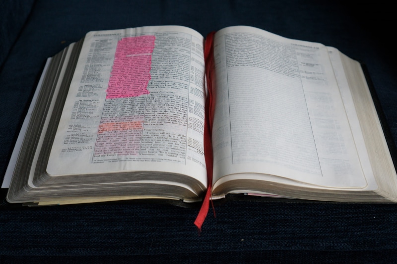 wisdom, text, communication, 2K, open bible, studio shot, still life, learn, holy, textbook, expertise, christianity, testament, christ, studying, hardcover book