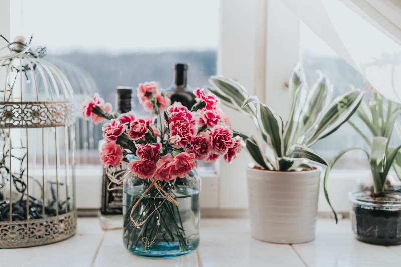 glass, no People, nature, vase, day, arrangement, vulnerability, beauty in nature, decoration, flower, pink color, flowers, freshness, flowering plant