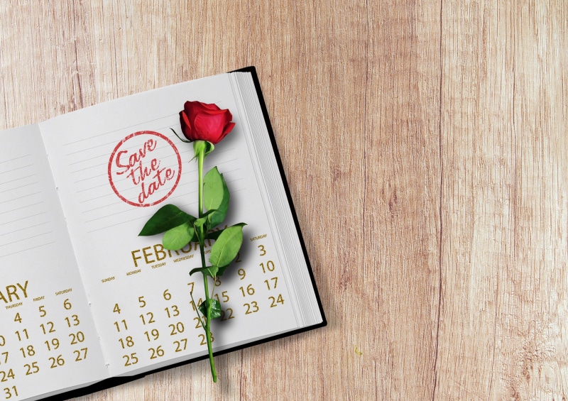 wood, year, days of the week, save the date, errands, valentines day - holiday, plant, notes, rose - flower, freshness, table, rose, to do, date, flower