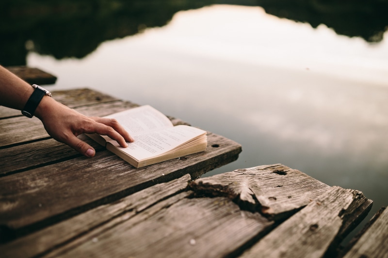 tree, boy reading book, hand, woman with book, girl reading book, relaxing, human hand, evening, reading, pier, nature, one man only, finger, holding, magic hour