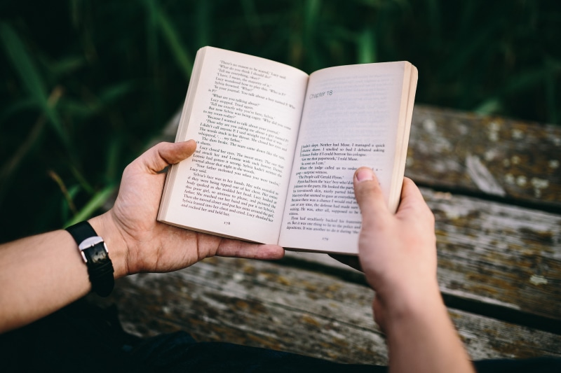 holding, information medium, summer, old pier, newspaper, Reading book, wooden pier, pier, literature, adult, christianity, book, praying, hand, focus on foreground