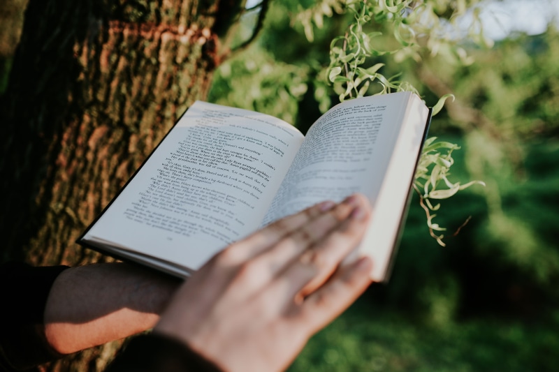 holding, communication, education, human body part, day, novel, selective focus, Man, literature, outdoors, open, religion, outside, spirituality, 5K