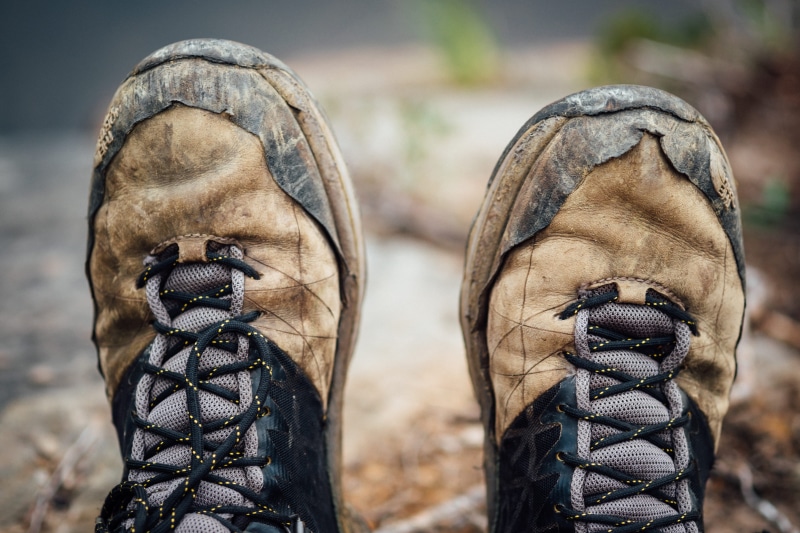 outdoors, herbivorous, leather, laces, 4K, group of animals, animal body part, adventure, feet, day, travel, worn, brown, work, shoe, hiking boot, boot